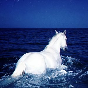 爱是奢侈品，你我都在贫民窟