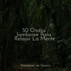 Viaje de Ilusión Mística