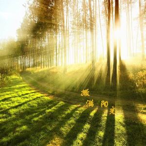 幸福都是别人的事