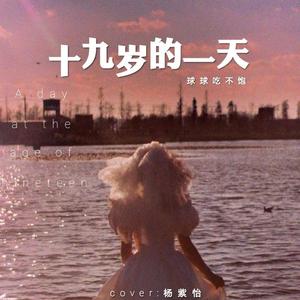 十九岁的一天