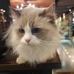 What's up(Prod by 牙刷/UNIVERSE)