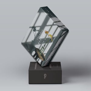 H.E.R x R&B Guitar Type Beat "Chase"