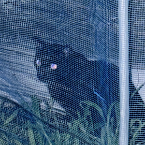 つばめ (feat.初音ミク)