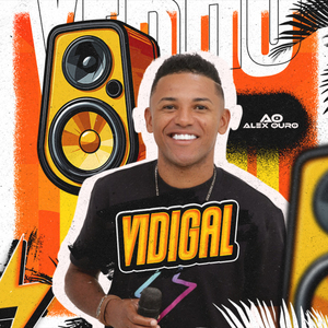 Vidigal