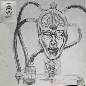 Meandering Insanity Infected by a Hallucinating Piano