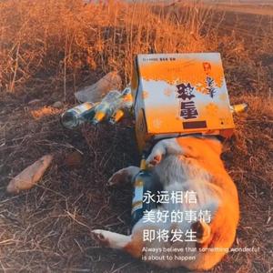 把爱归于山海DJ(1)