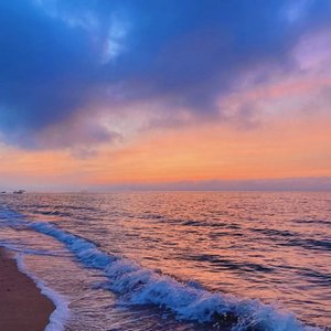 月老掉线 DJ【抖音热播】