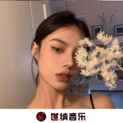 天下英雄出我辈 (DJ版)