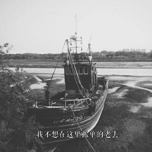我不想在这里孤单中老去-demo