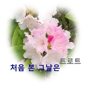 처음 본 그날은