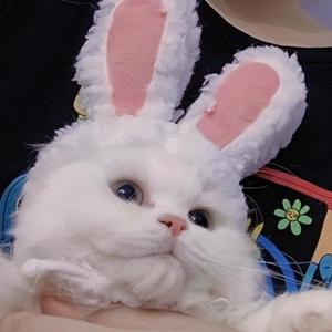 i hate u , i love u（吉他版）