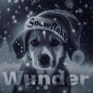 Snowflake (Slowed + Reverb)