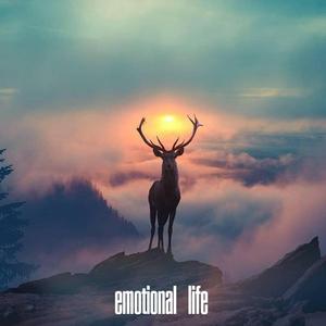 Emotional Life