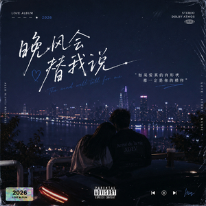 晚风会替我说