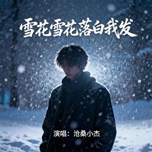 雪花雪花落白我发 (爱着一个不联系的人)