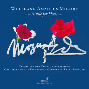 Ein musikalischer Spass (a Musical Joke), K. 522: II. Menuetto. Maestoso