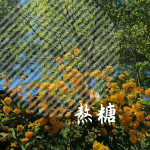 糖