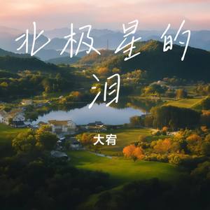 北极星的泪