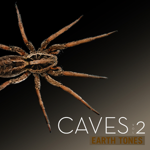 The Stalactite Stuff