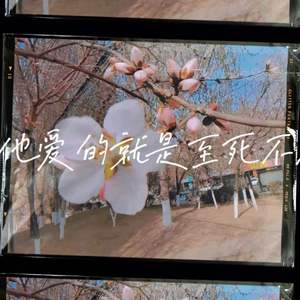 可TA要的浪漫是至死不渝