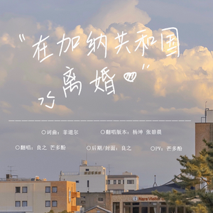 在加纳共和国离婚(超级无敌版)