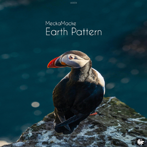 Earth Pattern (Original)