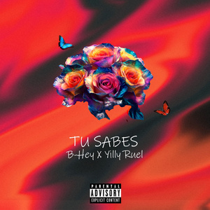 Tu Sabes