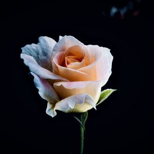 【Scorpio】＂迷宫＂Boombap/复古/Old School Type Beat