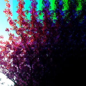 Bleeder (Original Mix)