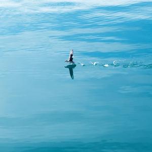 我的世界你来过