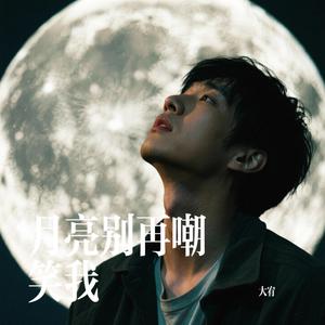 月亮别再嘲笑我