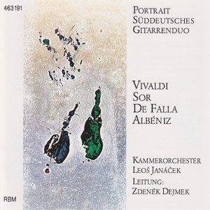 Concerto for 2 Violins in A Minor, RV 523 (Arr. for 2 Guitars & Chamber Orchestra by Anonymous): I. Allegro molto