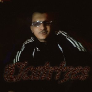 Cicatrizes