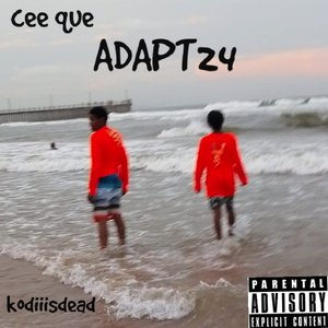 Adapt24
