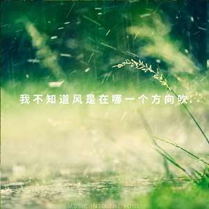 李召洋 - 我不知道风