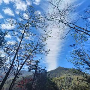 榕城谣