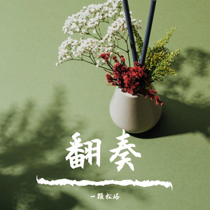 苍穹-西西里的自由诗【扬琴】（一颗松塔 remix）