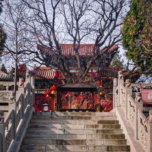 先抑后扬的笛声小曲儿