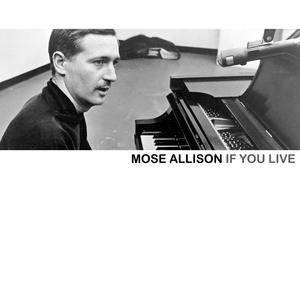 I Hadn't Anyone Till You