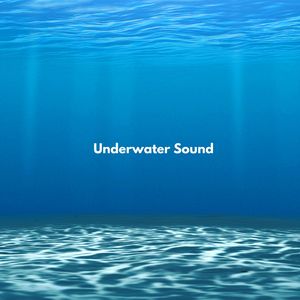 Ocean & Underwater Sound