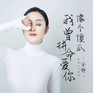 我曾拼命爱你像个傻瓜