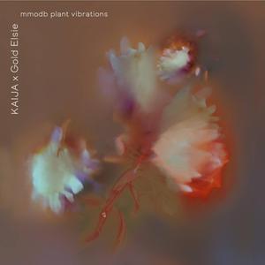 mmodb plant vibrations (demo)