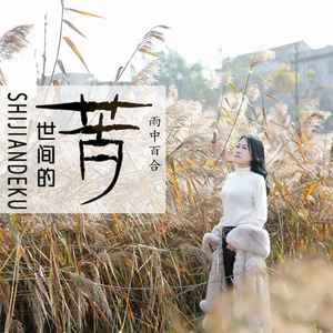 世间的苦 (DJ默涵版)