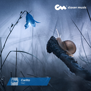Carlito (Instrumental)