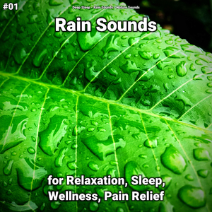 Rain Sounds Sleep Trigger