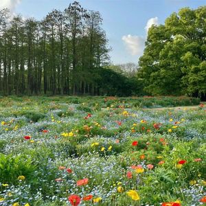 慢生活是我的信仰