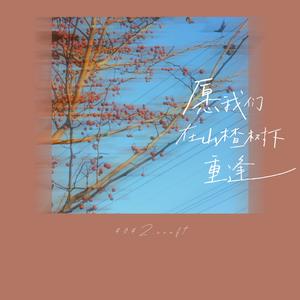 愿我们在山楂树下重逢