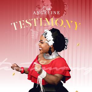 TESTIMONY