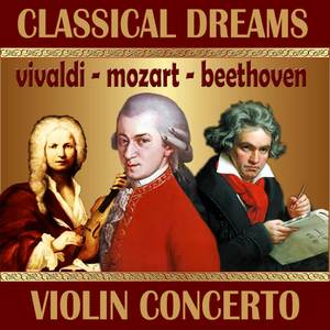Violin Concerto No. 1 in G Minor, Op. 6, RV 324: III. Allegro