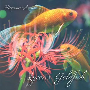 Lycoris Goldfish